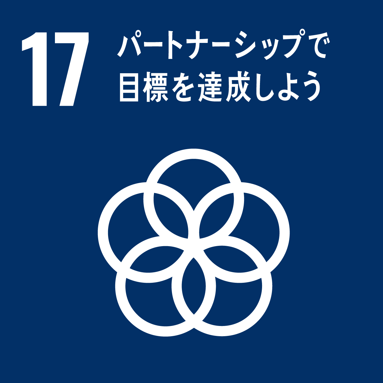 icon-17